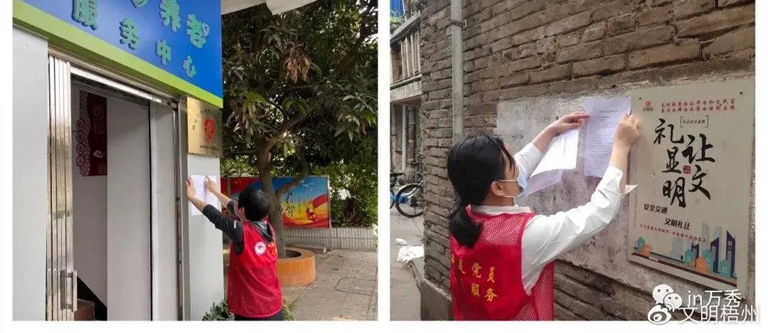 雪老师教育